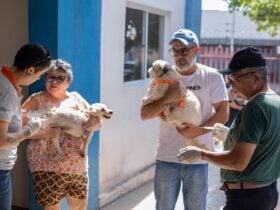 Dia D antirrabica em Rondonopolis imuniza quase 16 mil animais e supera expectativas