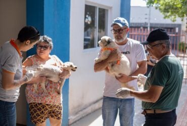 Dia D antirrabica em Rondonopolis imuniza quase 16 mil animais e supera expectativas