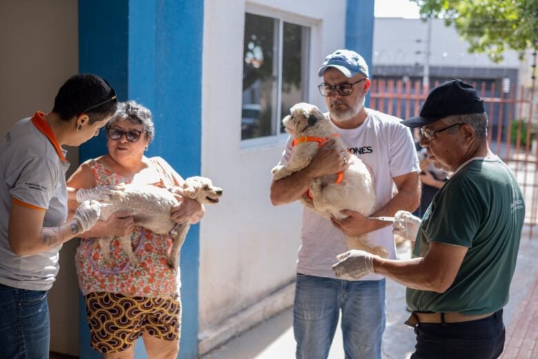Dia D antirrabica em Rondonopolis imuniza quase 16 mil animais e supera expectativas