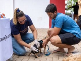 Dia D de Vacinacao Antirrabica acontece neste sabado 27 em Rondonopolis