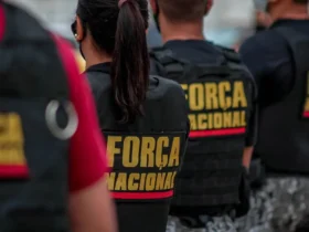 Forca Nacional atuara em Mato Grosso e outros 8 estados com foco em crimes ambientais