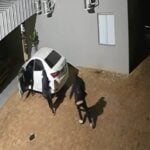 Mulher e duas filhas foram feitas reféns; ação rápida da Guarda Civil evitou que proprietário fosse rendido