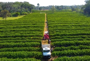 Governo de Mato Grosso isenta taxa de inscrição estadual para produtores rurais