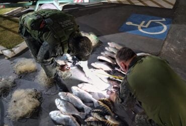 Homem e preso em Mato Grosso com 157 peixes ilegais