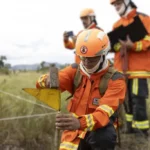 Incêndio em parque de Mato Grosso foi causado por fogueira irregular, aponta perícia