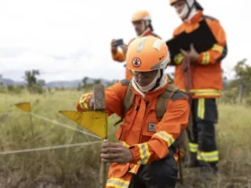 Incêndio em parque de Mato Grosso foi causado por fogueira irregular, aponta perícia