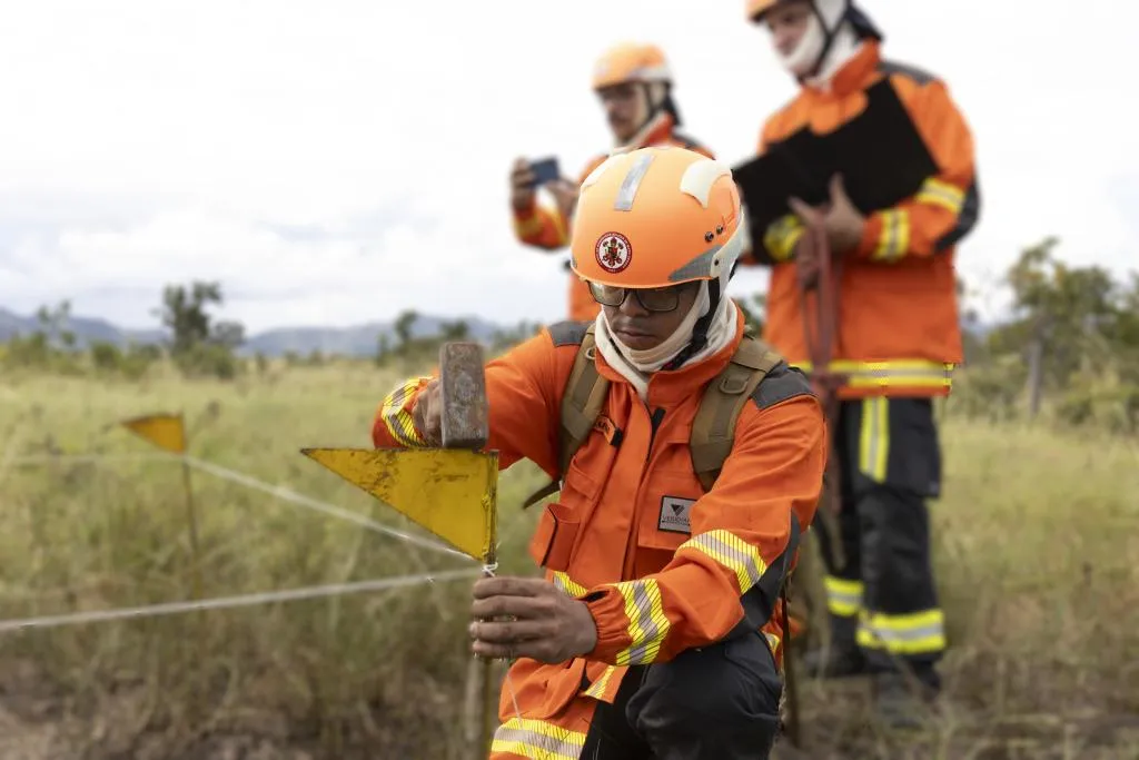Incêndio em parque de Mato Grosso foi causado por fogueira irregular, aponta perícia