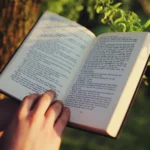 Livro