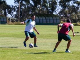 Chapecoense x Novorizontino: onde assistir, horário e prováveis escalações pela Série B. Imagem: Luiz Ferrazzo ACF