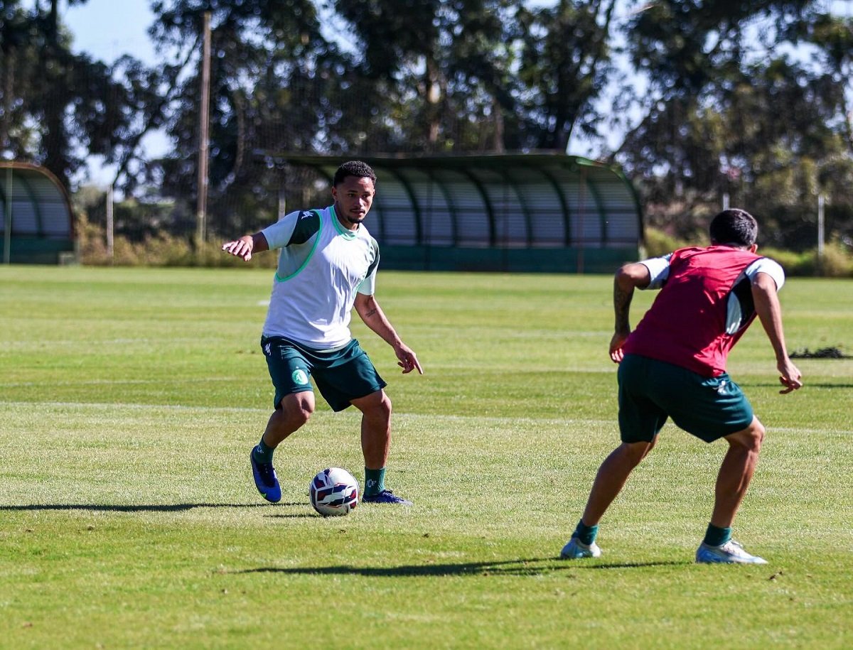 Amazonas x Chapecoense: onde assistir, prováveis escalações e tudo sobre o jogo da Série B. Imagem: Luiz Ferrazzo ACF