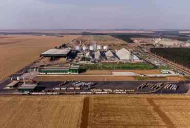 Mato Grosso lidera crescimento econômico com alta de 6,6% no PIB