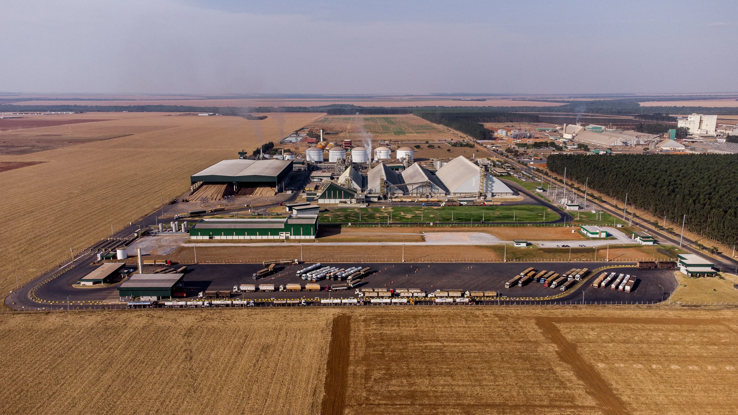 Mato Grosso lidera crescimento econômico com alta de 6,6% no PIB