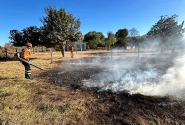 Mato Grosso Registra Redução Histórica de Focos de Calor em Agosto