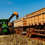 Milho impulsiona recorde de produção em Mato Grosso na 2ª safra