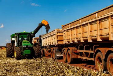 Milho impulsiona recorde de produção em Mato Grosso na 2ª safra