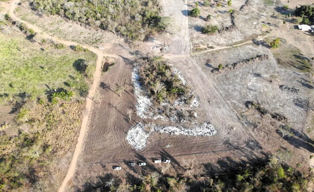 Queimada ilegal no Pantanal resulta em multa de R$ 20 mil durante operação integrada