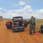 Pescado apreendido em Itiquira soma 22 quilos durante operação conjunta
