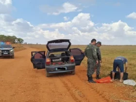 Pescado apreendido em Itiquira soma 22 quilos durante operação conjunta
