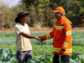 Parceria entre bombeiros e comunidade reduz focos de calor em 95% no Pantanal