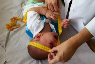 Pensao virus Zika