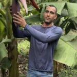 Agricultores recebem incentivo financeiro para preservar Amazônia