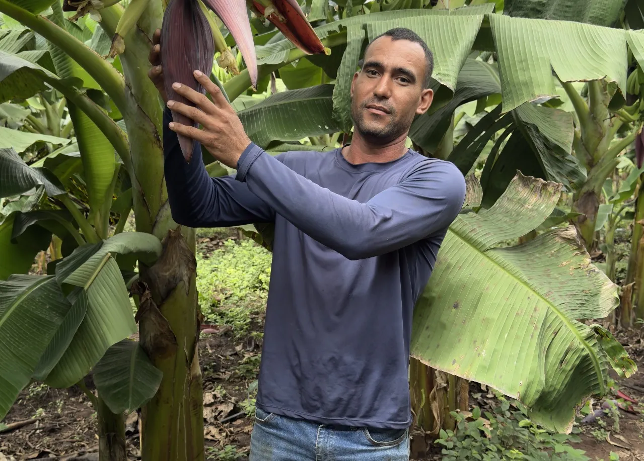 Agricultores recebem incentivo financeiro para preservar Amazônia