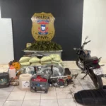 Polícia Civil incinera plantação de maconha em Tangará da Serra após operação