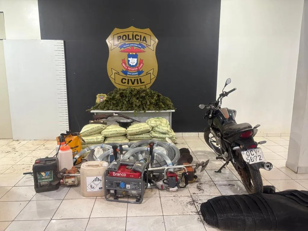 Polícia Civil incinera plantação de maconha em Tangará da Serra após operação