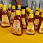 Sinop lidera ranking de produtores orgânicos em Mato Grosso graças a projeto da Empaer