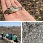 Relatorio do Ministerio Publico alerta para riscos estruturais e ambientais em usina hidreletrica em Mato Grosso