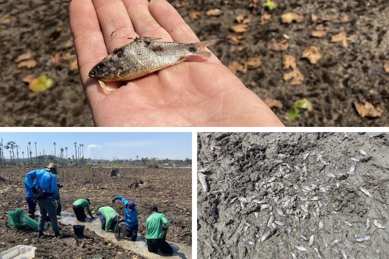 Relatorio do Ministerio Publico alerta para riscos estruturais e ambientais em usina hidreletrica em Mato Grosso