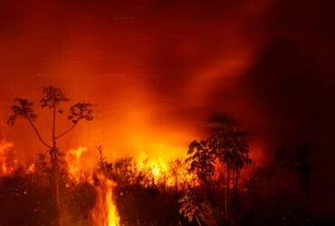 Saiba como denunciar queimadas e mato alto em Barra do Garcas