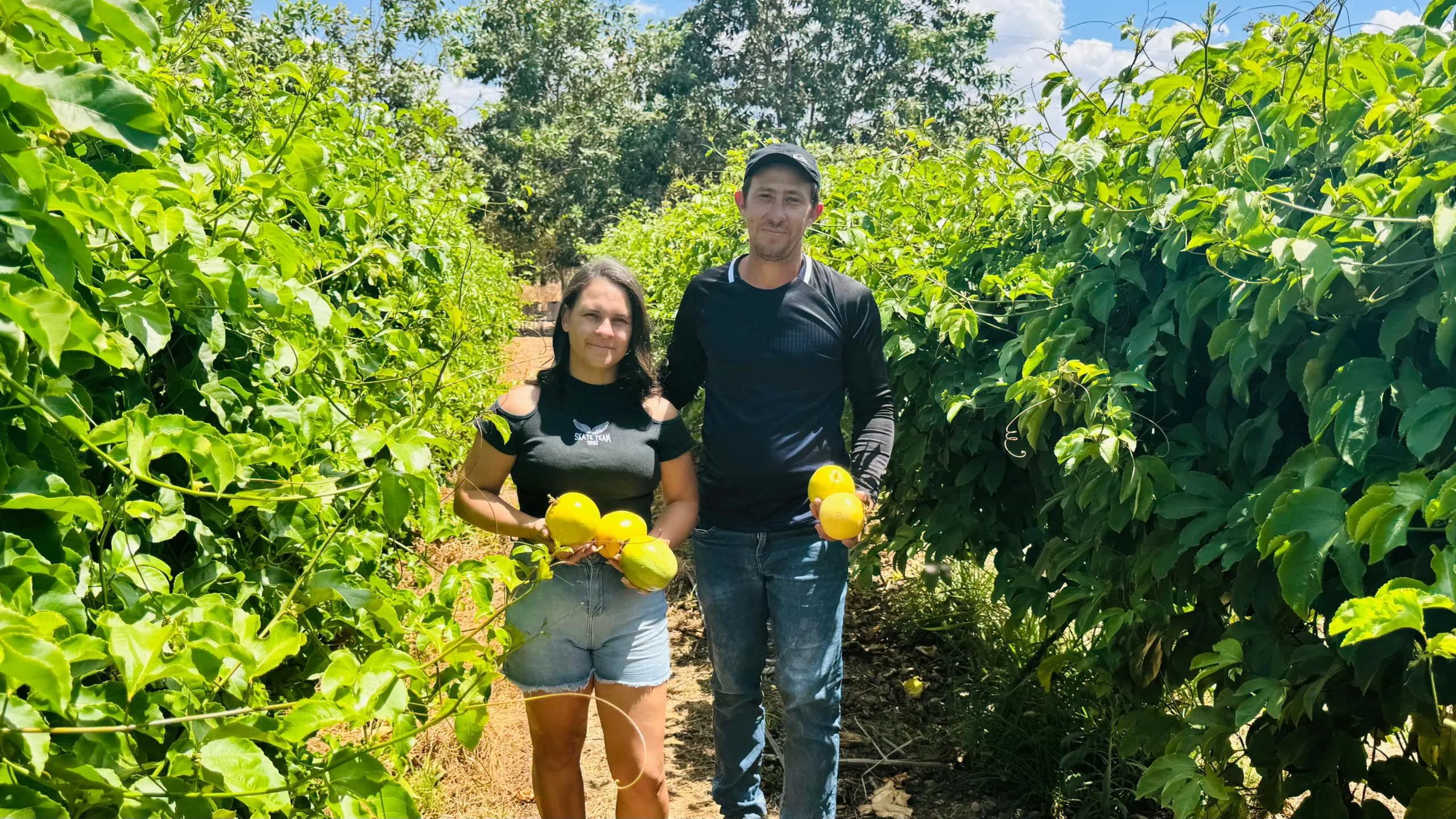 Maracujá ganha destaque na agricultura familiar durante GreenFarm Show 2025 em Mato Grosso