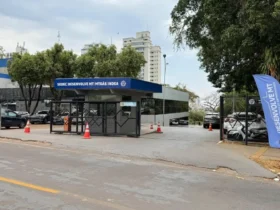 Sedec e Invest MT ampliam catálogo de empresas exportadoras de Mato Grosso