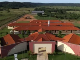 Agroecologia tem seletivo aberto em Mato Grosso com 80 vagas em Terra Nova do Norte