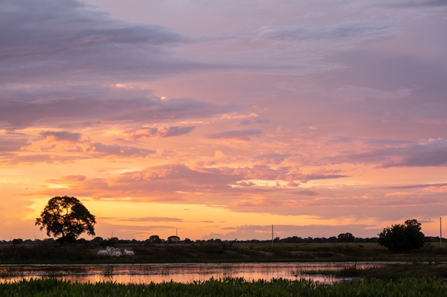 Serie biomas pantanal paisagem