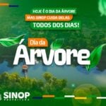 Sinop celebra o Dia da Arvore como a cidade mais arborizada de Mato Grosso