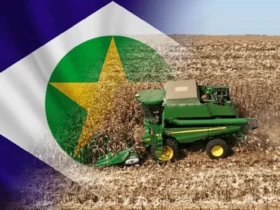 Soja em Mato Grosso - CenárioMT