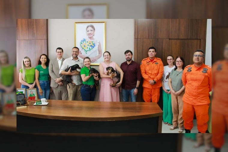 TAC garante nova lei e casa de passagem para protecao animal em Varzea Grande