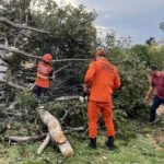 Temporal em Juara mobiliza bombeiros e causa danos significativos
