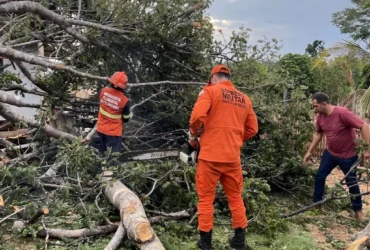 Temporal em Juara mobiliza bombeiros e causa danos significativos