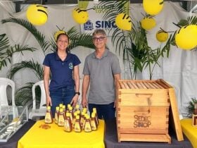 Terceira edicao do Sinop Sustentavel debate producao organica agroecologia e futuro saudavel