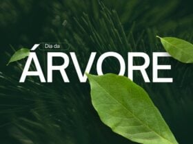 Tribunal Regional Eleitoral de Mato Grosso celebra o Dia da Arvore e reforca compromisso com sustentabilidade e democracia