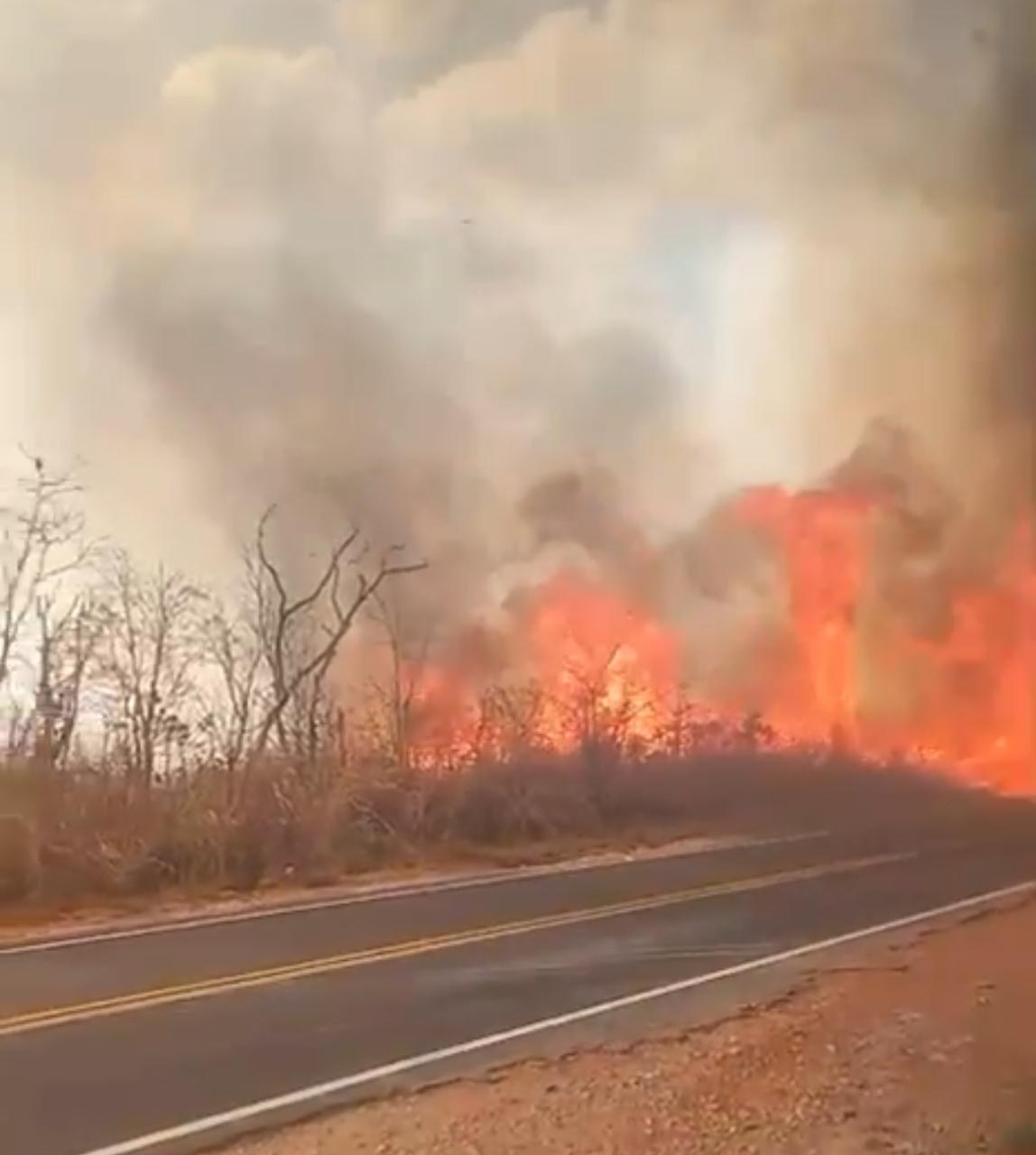 Passageiros correram para escapar do calor; Corpo de Bombeiros atua no combate a três focos ativos de incêndio na região do Lago do Manso