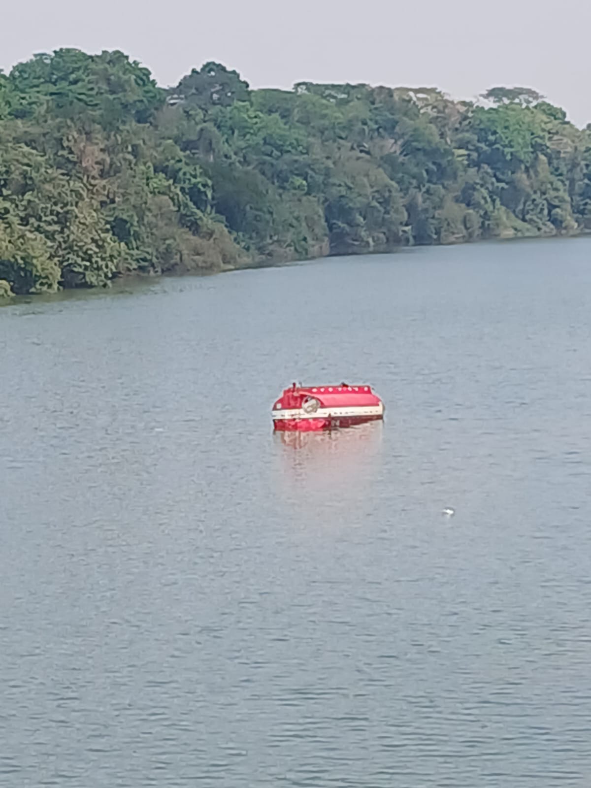 Motorista foi socorrido e encaminhado para atendimento médico; causas do acidente ainda estão sendo apuradas