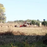 Defesa de fazendeiros em Goiás questiona autodeclaração de quilombolas