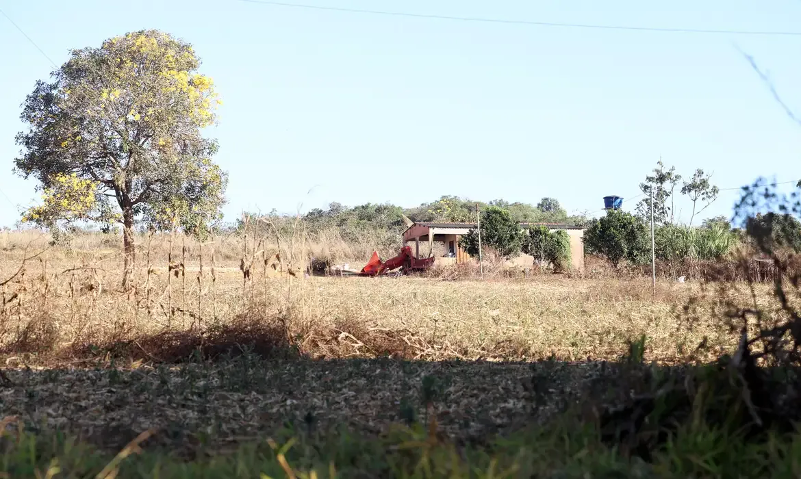 Defesa de fazendeiros em Goiás questiona autodeclaração de quilombolas