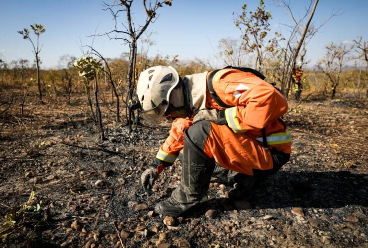 bombeiro cena de crime ambiental queimada christiano antonucci secom