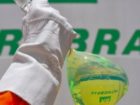Estudos apontam caminhos para descarbonizar a Petrobras e ampliar energias limpas