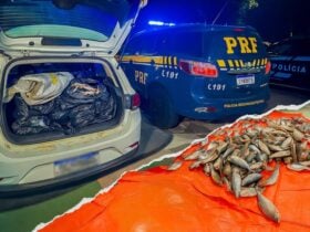 Carga irregular de pescado é apreendida em Várzea Grande, MT